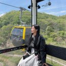 6.25전쟁 참전기 | 파주가볼만한곳 파주 임진각 DMZ 투어 곤돌라