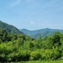1210 | 오지산행후기(1210차) 가평 꽃송이 산행(3) 2024.06.12(수)