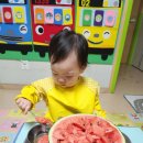 중점행사(수박 슬러시 만들기)활동입니다🍉🍉 이미지