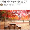 사랑을 지켜가는 아름다운 간격 / 칼릴 지브란 이미지