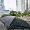 어반쉴드 프리미엄우산 후기, 출근길에 딱 좋은 초경량카본 우양산