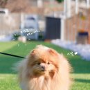 멍집합 네이버블로그