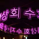 오아시스수지