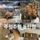 우정가동탄북 | 아기와 다녀온 실내동물원 주렁주렁 동탄점 (내돈내산 후기) 입장 할인, 프로그램 안내