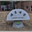 시청로(청솔5차아파트길) 티스토리