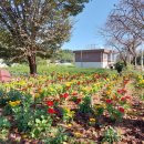 천천경로당 이미지