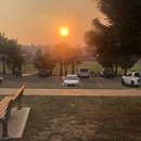 쿠지 홀리데이 이미지