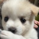 마스터마켓 - 동구 중앙로200번길 73 | 마스터마켓