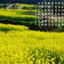 꽃을;보다 이미지