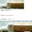 비타광고 - 16866 | 비타광고