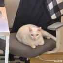 5월애쌈밥 | 26년 월간 일기. 3월