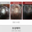 보성헤어 이미지