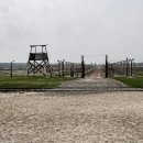 코스트코 공세점 이미지