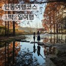 안동기사식당 | 경북 안동 1박2일 아이와 뚜벅이여행 코스 시티투어 버스 선유스테이 숙소