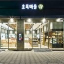 초록 지디넷코리아