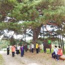 실버글쓰기교실 이미지