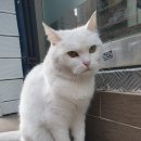 아트앤스테이 이미지