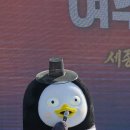 •5월 10일(일) EBS KIDS 자이언트 펭TV 17:00 이미지