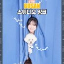 소중한 댕 | 애견동반 부산여행 필수 코스 광안리셀프사진관 스튜디오 잉크 후기