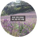 [연천여행/연천 펜션] 작은쉼터 스텔라에서의 1박