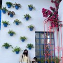 메디팜고성왕약국 이미지