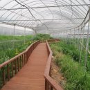 농부사랑 이미지