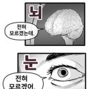 강현중학교 이미지