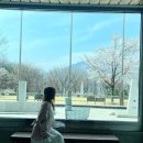 인생샷 건지는 벚꽃룩🌸코디 77착장후기