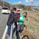 당숲길 케이에스피뉴스