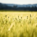 (주)제이엔에스 이미지