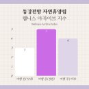 동강자연속으로 | 동강 전망 자연휴양림 1월 동계 캠핑 현장 발권 후기