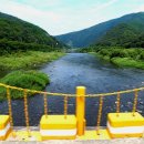 불정자연휴양림캠핑장 이미지