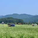 평창현대스위트빌리지 이미지