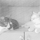 가인노래빵 이미지