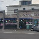 늘조은 돼지