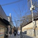 서순라길 이미지