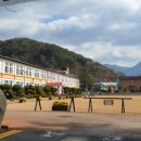 백운초등학교 Daum카페