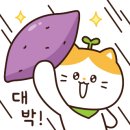 석정정보시스템 이미지