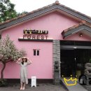 숲을 그리다 이미지