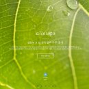 저작권 걱정없는 무료이미지 얼라우투(ALLOWTO) 소개합니다.