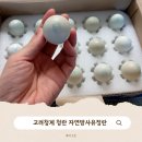 청계농장 | 난각번호1번 고려청계 청란 자연방사유정란