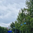 샘터놀이터 이미지