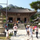 채석강리조트 이미지