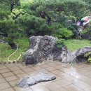 황산조경