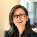 우드 너 이미지