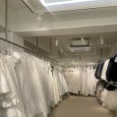 블랙드레스 | W39. [내돈내산] 베일즈 촬영드레스 상담•피팅 후기 🖤 블랙드레스 최종선택&amp;촬영 후기