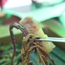 친절한 남매 이미지