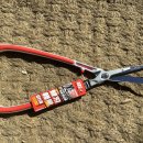 전정금농장 이미지