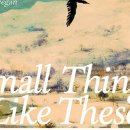 귀족세탁소 | 이처럼 사소한 것들 Small Things Like There 클레어 키건