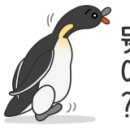 케이에프씨 홍익대매장 이미지
